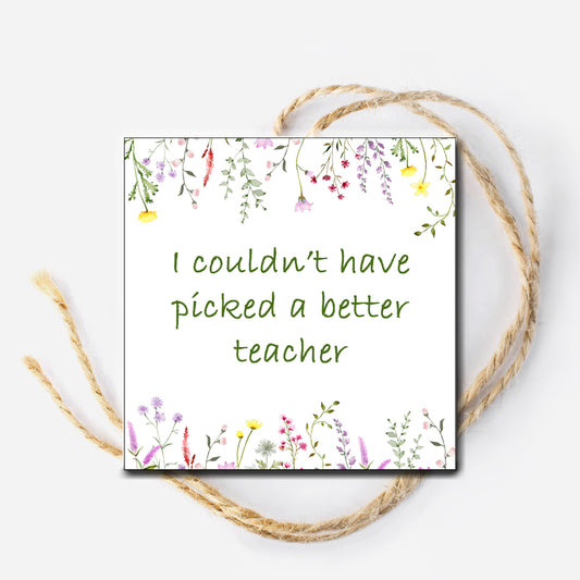 Picked a Better Teacher Instant Download Tag