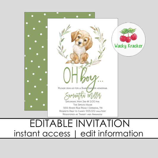 Lab Boy Baby Shower Invitation